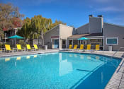 Thumbnail 18 of 26 - The Alexandar Pool with Lounge Chairs