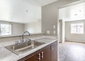 Thumbnail 6 of 16 - a kitchen with a sink and a window