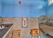 Thumbnail 27 of 45 - RedPoint Apartments Dog Wash