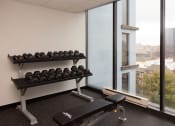 Thumbnail 15 of 15 - a fitness room with weights and a window