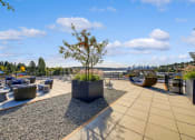 Thumbnail 21 of 36 - The Hayes on Stone Way Apartments rooftop terrace with potted trees at The Hayes on Stone Way, Seattle, Washington