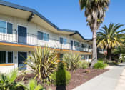 Thumbnail 10 of 11 - The Mark Apartments in Hayward, California Exterior