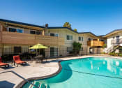 Thumbnail 6 of 11 - The Mark Apartments in Hayward, California Pool