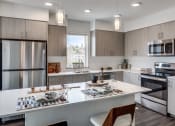 Thumbnail 2 of 37 - Voda_Kirkland_WA_Apartment_KitchenAndDiningRoom