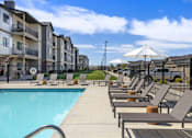 Thumbnail 4 of 46 - A row of sun loungers are on the side of a swimming pool.