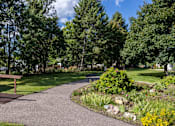 Thumbnail 18 of 31 - a path through a park with trees and a bench