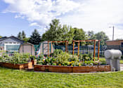 Thumbnail 15 of 31 - a garden with a scarecrow and a greenhouse in the background