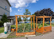 Thumbnail 22 of 31 - a garden in a yard in front of a house