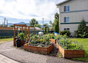 Thumbnail 21 of 31 - a community garden in front of a house