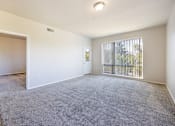 Thumbnail 1 of 23 - A room with a grey carpet and a window with a view of a fence.