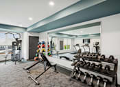 Thumbnail 22 of 51 - A well-equipped home gym with a variety of exercise equipment.