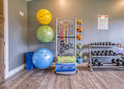 Thumbnail 13 of 28 - a workout room with weights and balls at the preserve at walnut creek