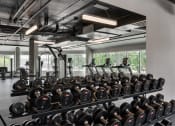 Thumbnail 14 of 28 - a gym with rows of dumbbells on a rack at Crosshatch, Garden City, Idaho