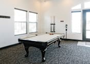 Thumbnail 11 of 28 - A pool table in a room with a window and a door.