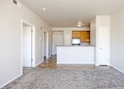 Thumbnail 15 of 23 - A spacious living room with a kitchen area in the background.