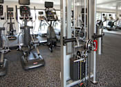 Thumbnail 8 of 67 - a group of exercise machines in a gym at Cycle Apartments, Fort Collins