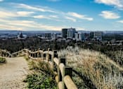 Thumbnail 9 of 10 - A cityscape is visible in the distance behind a wooden fence on a hill.