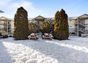Thumbnail 43 of 46 - snow-covered ground at Great Northern, Montana
