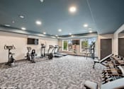 Thumbnail 7 of 40 - A spacious gym with a variety of exercise equipment.