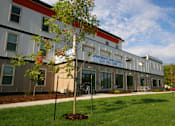 Thumbnail 1 of 29 - A tree in front of a building that says "Apartments".