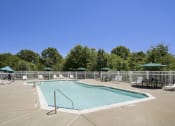 Thumbnail 28 of 41 - a pool with chairs and umbrellas and trees in the background at Boulder Pointe Apartments in Middletown, NY 10940