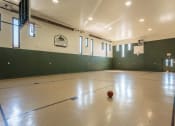 Thumbnail 36 of 44 - Indoor Basketball Court at Highland Club Apartments, Watervliet, NY, 12189