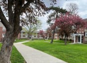 Thumbnail 6 of 38 - a sidewalk leads through a grassy area in front of a brick building