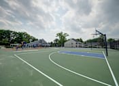 Thumbnail 40 of 55 - A basketball court with a blue hoop and white lines.