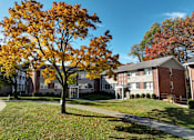 Thumbnail 5 of 38 - A tree with orange leaves stands in front of a building.