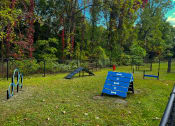 Thumbnail 36 of 38 - a blue bench in a park next to a skate park