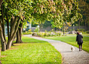 Thumbnail 8 of 11 - a woman walking her dog down a path in a park