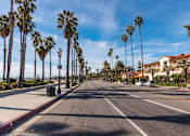 Thumbnail 4 of 30 - A street lined with palm trees under a blue sky.