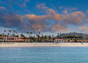 Thumbnail 28 of 30 - A beach with palm trees and a few people.