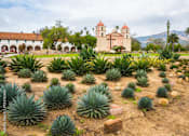 Thumbnail 19 of 30 - A field of agave plants in front of a building with a red roof.