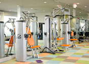 Thumbnail 5 of 17 - a slew of exercise equipment in a gym