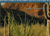 Thumbnail 30 of 30 - A cactus in a field with a sign that says "AVILLA GROVE".