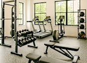Thumbnail 9 of 14 - A gym with a variety of equipment including weights and a treadmill.