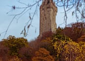 Thumbnail 3 of 5 - the tower on the hill
