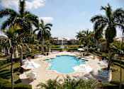Thumbnail 15 of 17 - A large swimming pool surrounded by palm trees and lounge chairs.