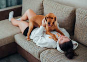 Thumbnail 8 of 10 - pet friendly