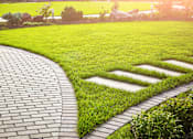 Thumbnail 5 of 11 - a path in the grass with grass symbols on the ground