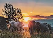 Thumbnail 4 of 8 - Incredible sunset view and peaceful neighborhood.