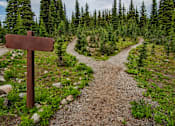 Thumbnail 4 of 8 - A brown signpost stands in the middle of a forest path.