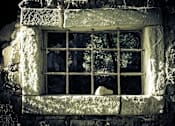 Thumbnail 3 of 5