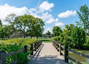 Thumbnail 7 of 11 - a path through a park with a wooden fence