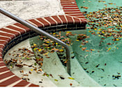 Thumbnail 8 of 11 - A pool with leaves floating on the water.