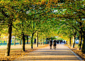 Thumbnail 6 of 11 - a group of people walking down a path in a park