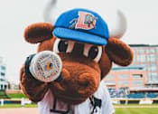Thumbnail 8 of 9 - a mascot wearing a baseball uniform on a field