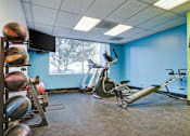 Thumbnail 10 of 10 - a gym with exercise equipment and a window