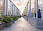 Thumbnail 25 of 47 - A long walkway with plants on both sides and a cloudy sky above.